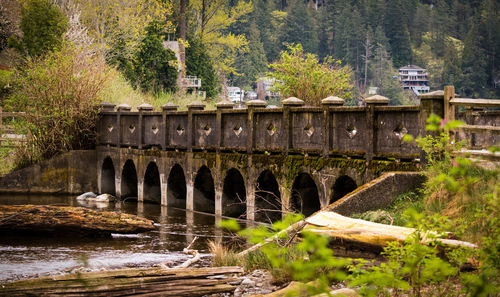 Bridge over river amidst trees in forest