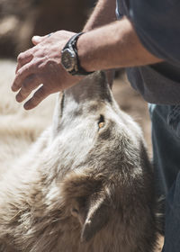 Midsection of man holding hands