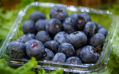 Close-up of blackberries in container