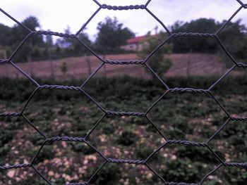 Full frame shot of chainlink fence