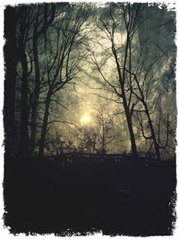 Low angle view of bare trees against sky