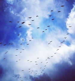 Low angle view of silhouette birds flying against sky