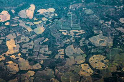 Full frame shot of agricultural field