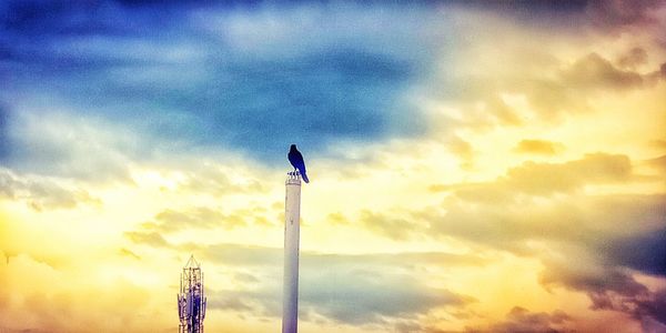 Low angle view of silhouette crane against sky during sunset