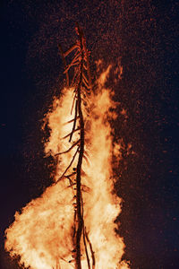 Close-up of wood burning against black background