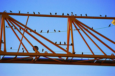 Low angle view of bridge against clear blue sky