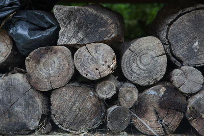 Close-up of stacked logs
