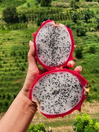 Close-up of woman holding fruit