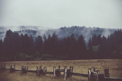 Scenic view of forest in foggy weather