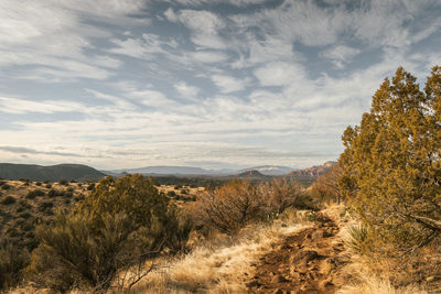 Airport mesa loop hike in sedona arizona usa southwest during the day with beautiful clouds