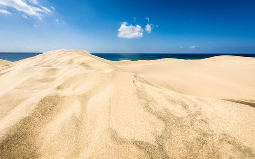 Scenic view of beach against blue sky