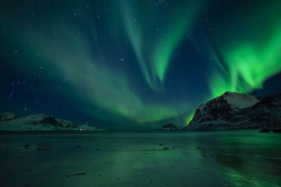 Amazing clear night sky with aurora borealis over a beach with reflections, lofoten, norway