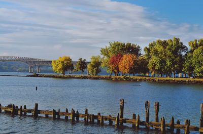 View of birds perching on wooden post in sea against sky