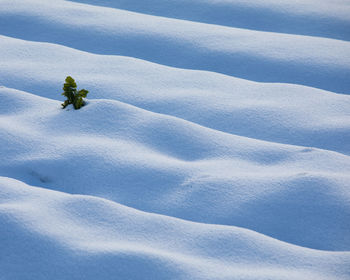 Scenic view of snow covered land