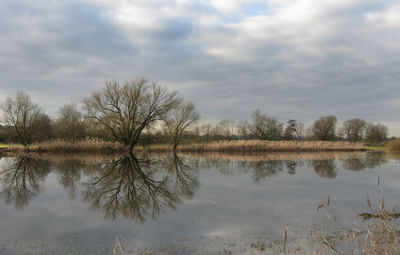 Scenic view of lake against sky