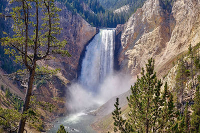 Scenic view of waterfall in forest