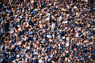 High angle view of stones on beach