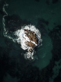 Directly above shot of rock formation in sea