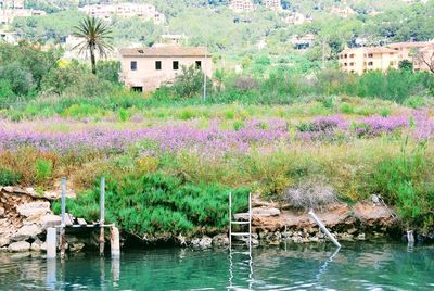 Scenic view of lake by building