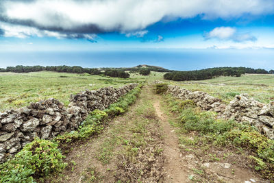 Scenic view of agricultural field against sky