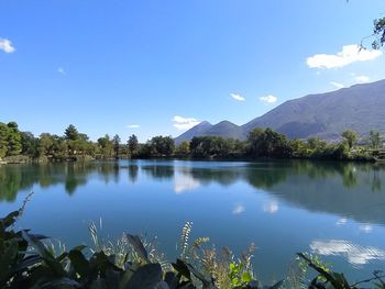 Scenic view of lake by trees against blue sky