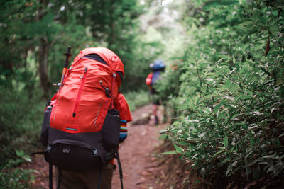 Girl with big mountain backpack. tropical mountain climbing