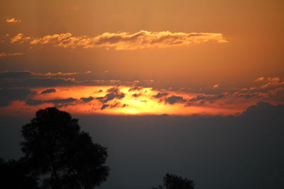 Silhouette trees against sky during sunset