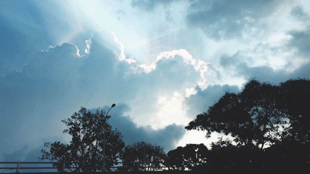 tree, sky, silhouette, tranquility, low angle view, beauty in nature, tranquil scene, scenics, cloud - sky, nature, growth, sunlight, cloud, idyllic, branch, cloudy, outdoors, no people, sun, sunbeam