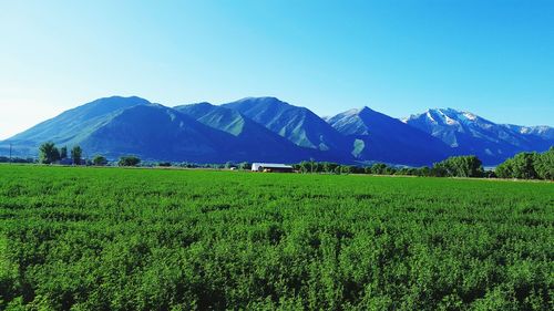 Scenic view of landscape against clear sky