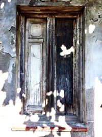 Closed door of wooden door
