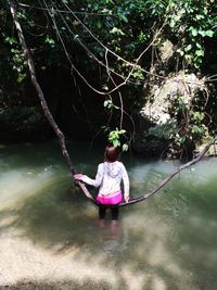 Rear view of woman swinging on vine over river in forest