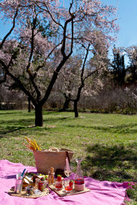 Empty chairs on table