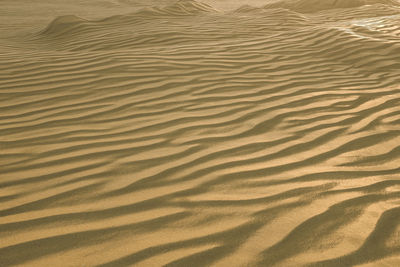 Full frame shot of sand dune