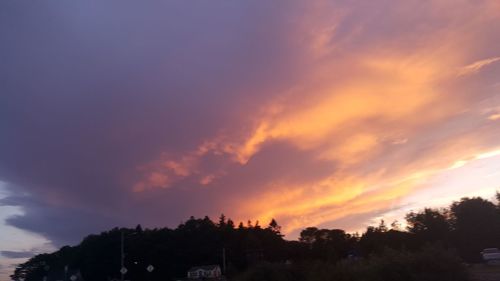 Silhouette of trees at sunset