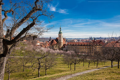 Prague city seen from the petrin gardens at the begining of spring