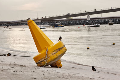 The bird sits on a large yellow buoy lying on the beach at low tide, travel