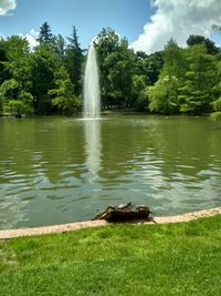 Scenic view of lake