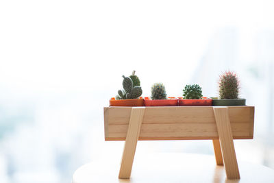 Close-up of potted plant on table against clear sky