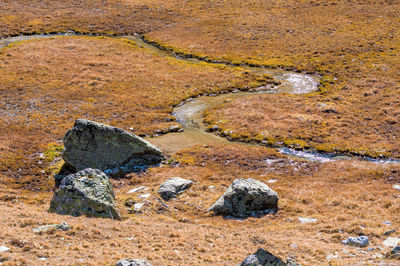 High angle view of messy field