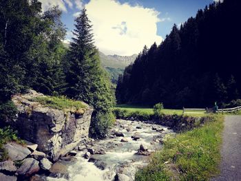 Stream flowing through rocks