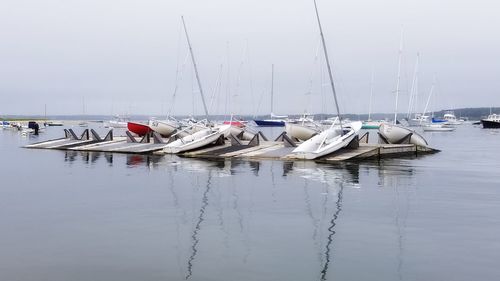 Sailboats moored in harbor