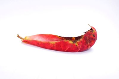 Close-up of strawberry against white background