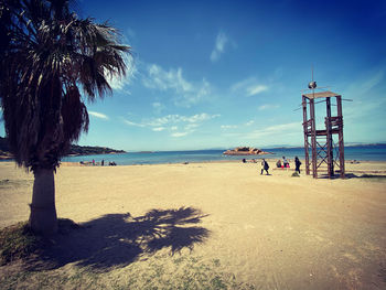 Palm trees on beach against sky