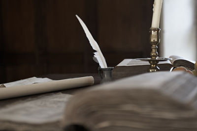 Close-up of feather on table