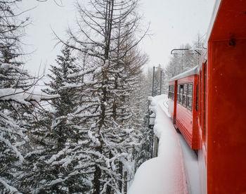 Snow covered trees by train during winter