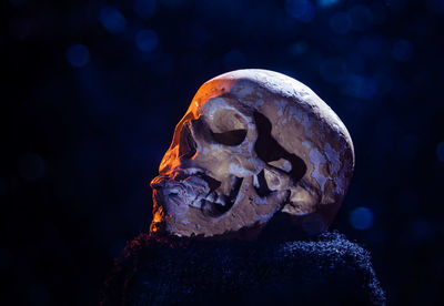 A beautiful, colorful object photo of an artificial, broken skull. life, death, medicine artifact.