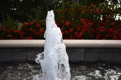 Close-up of fountain