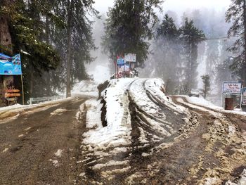 Road amidst snow covered trees