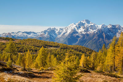 Scenic view of snowcapped mountains against blue sky