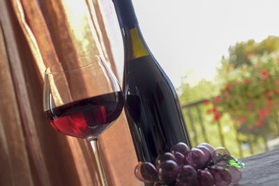 Close-up of wine glass on table